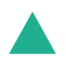 A green triangle is shown in this image.